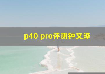 p40 pro评测钟文泽